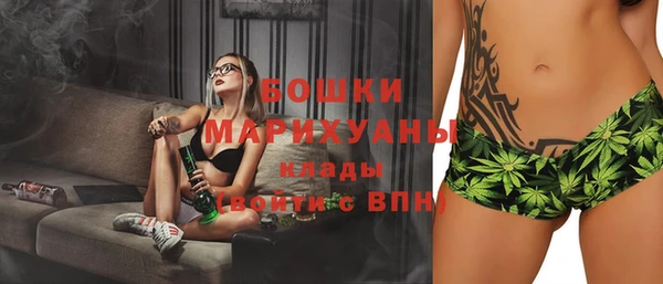 молекула духа Инта
