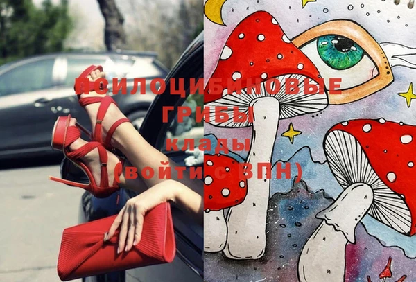 молекула духа Инта