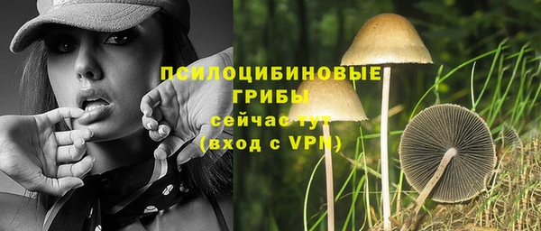 крисы Иннополис